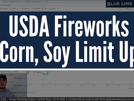 USDA Fireworks; Corn and Soy Limit Up | Tech Talk with Oliver Sloup