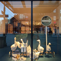 Window display with 5 white geese with Christmas presents
