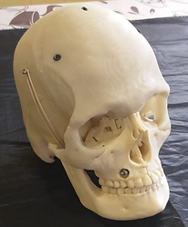 Image 008.png