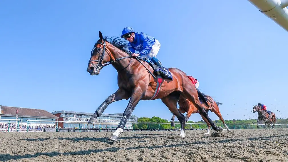 Military Order: one-time leading Derby candidate picked up Listed glory at Kempton. Credit: Mark Cranham