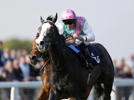 Royal Ascot Day 4 - Preview and Picks