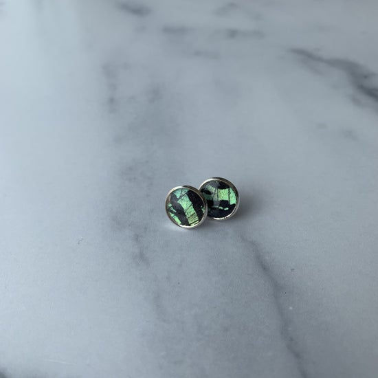 Thumbnail: Silver Plated Butterfly Wing Post Earrings