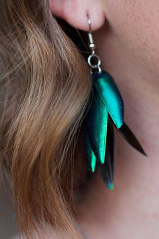 Thumbnail: Real Beetle Wing Earrings - 2.5"