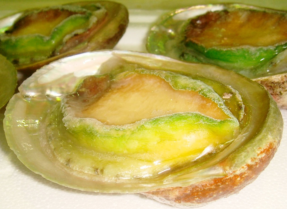 Frozen Whole in Shell