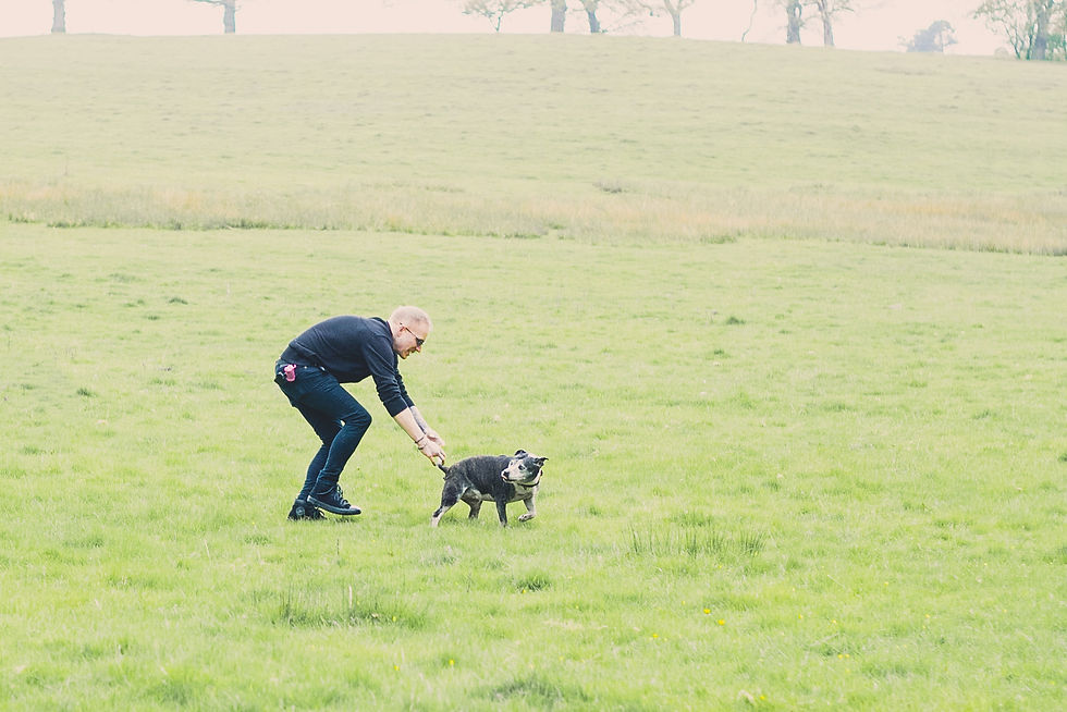 Wrexham photographer, IsoElegant Photography, Dog photographer Wales, dog friendly wedding photographer, dog friendly wedding, The Plassey, dog friendly, North Wales dog walk