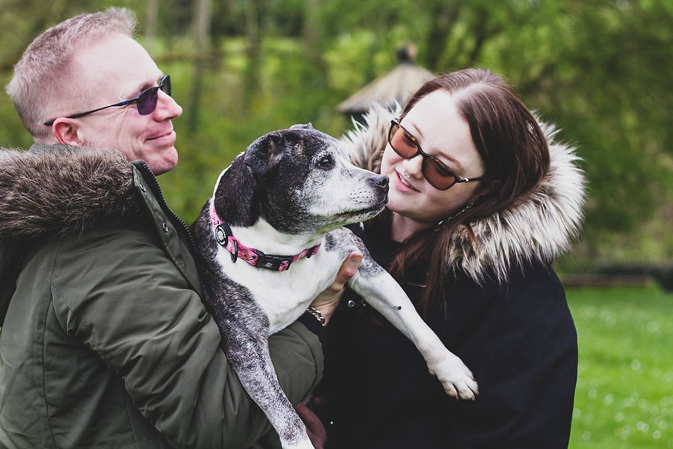 Wrexham photographer, IsoElegant Photography, Dog photographer Wales, dog friendly wedding photographer, dog friendly wedding, The Plassey, dog friendly, North Wales dog walk