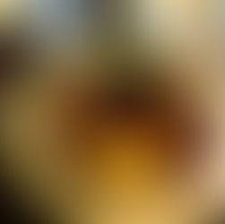 Which Wines Pair Best With Minted Lamb Shank?