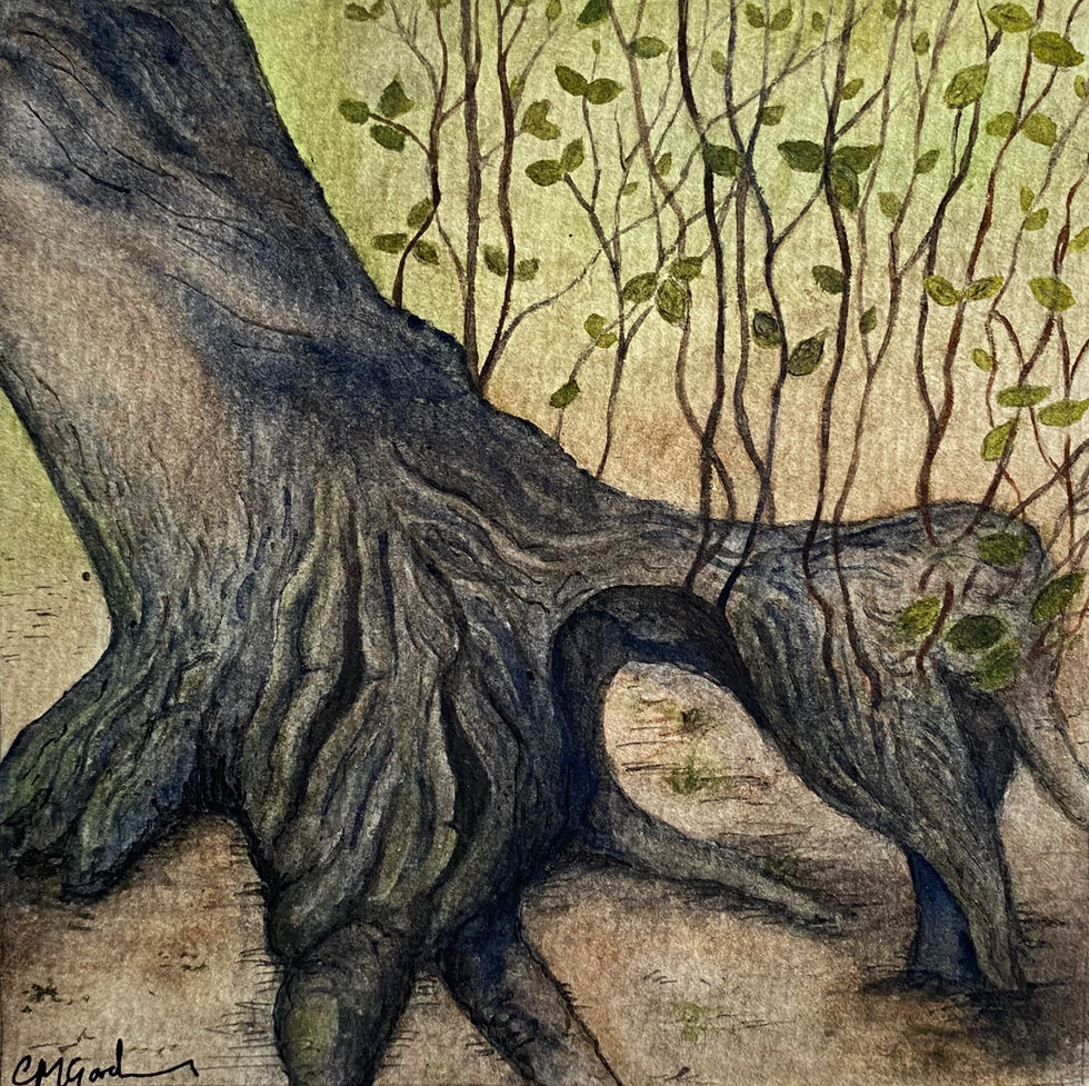 Life Finds a Way on a Hornbeam