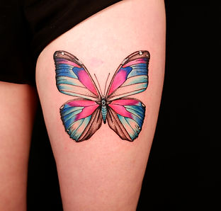 Butterfly