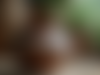 Waarom Tweedehands Potten Duurzaam En Stijlvol Zijn