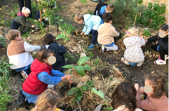 Jeunes écoliers plantent des pousses dans un jardin pédagogique