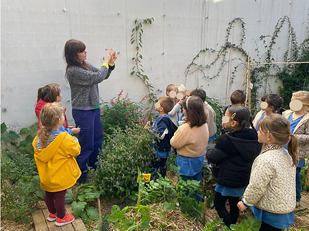 Juliette de Mastoc montre un plant à un groupe d'écoliers