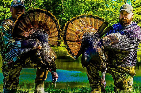 Illinois Turkey Outfitter Harvest