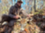 Illinois Whitetail Deer Hunting