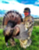 Illinois Turkey Hunting