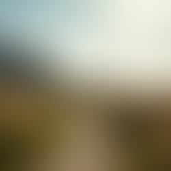 Property Management in Bideford & Surrounding areas: What to Know