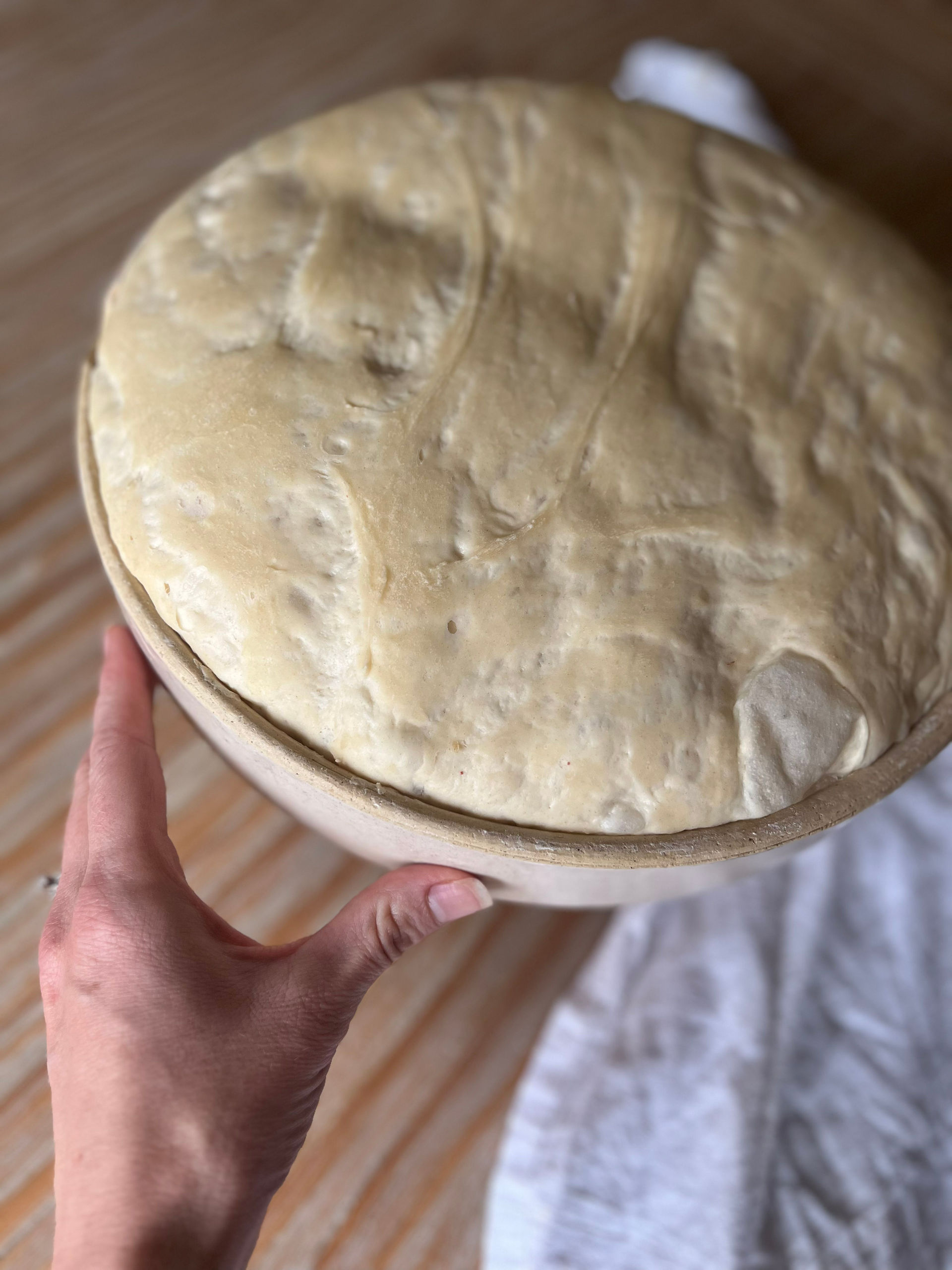risen dough after long fermentation/second rise