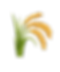 3.png