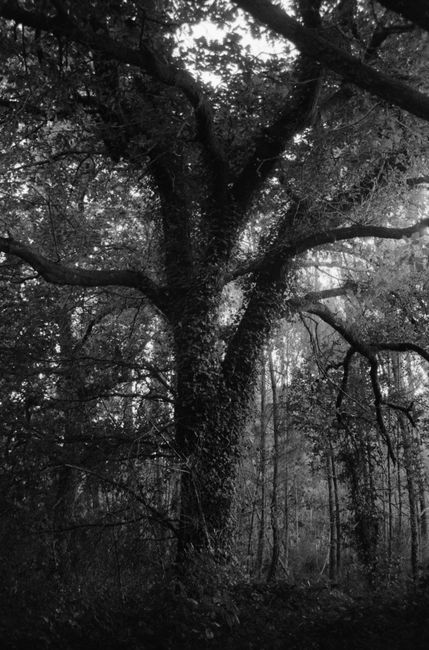 _MG_1438.JPG