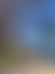 1M€ para 18kms de ciclovia em meio orograficamente favorável é um "investimento questionável"