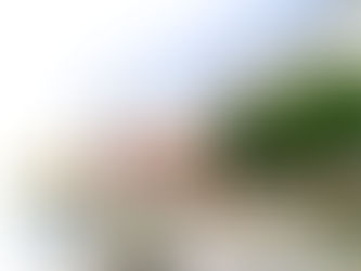 Empreitada Centro Escolar de Cernache: "Esta obra cobre-se de particular interesse e urgência"