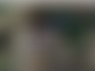 "Assumiremos o compromisso de promover o lançamento da tão necessária obra do 'Anel à Pedrulha'"