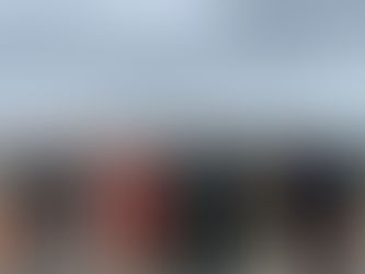 Comunicado MPT - Partido da Terra Coimbra