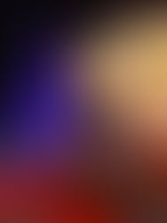 SC desafia CMC a duplicar investimento em apoio social, tendo em conta custos da iluminação de Natal