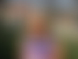 Alta Velocidade: "Coimbra precisa de respostas concretas e da garantia de estação funcional"