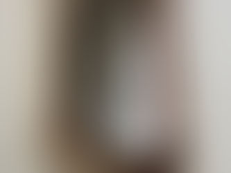 "Esta não é uma resposta que dignifique esta Câmara"