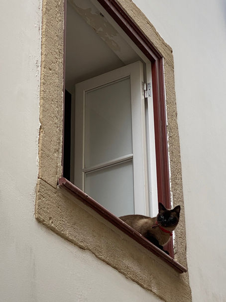 "Esta não é uma resposta que dignifique esta Câmara"