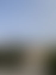 Elevador do Castelo: SC defende que custos devem ser imputados à IP e não assumidos pela cidade