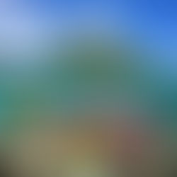 Unleashing the Potential: How Deep Reflection Empowers Goal Setting