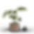 Pot de fleur