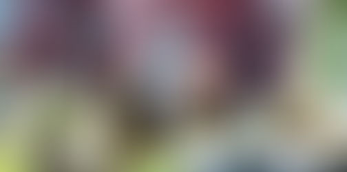 The Winter Webinar Series - Elise Hicks