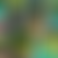 Subota, 9. svibanj 2026.: Izvor Kupe - naljepšom stazom