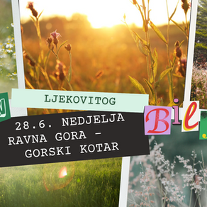 Nedjelja, 28. lipanj: Dan ljekovitog bilja, Ravna Gora