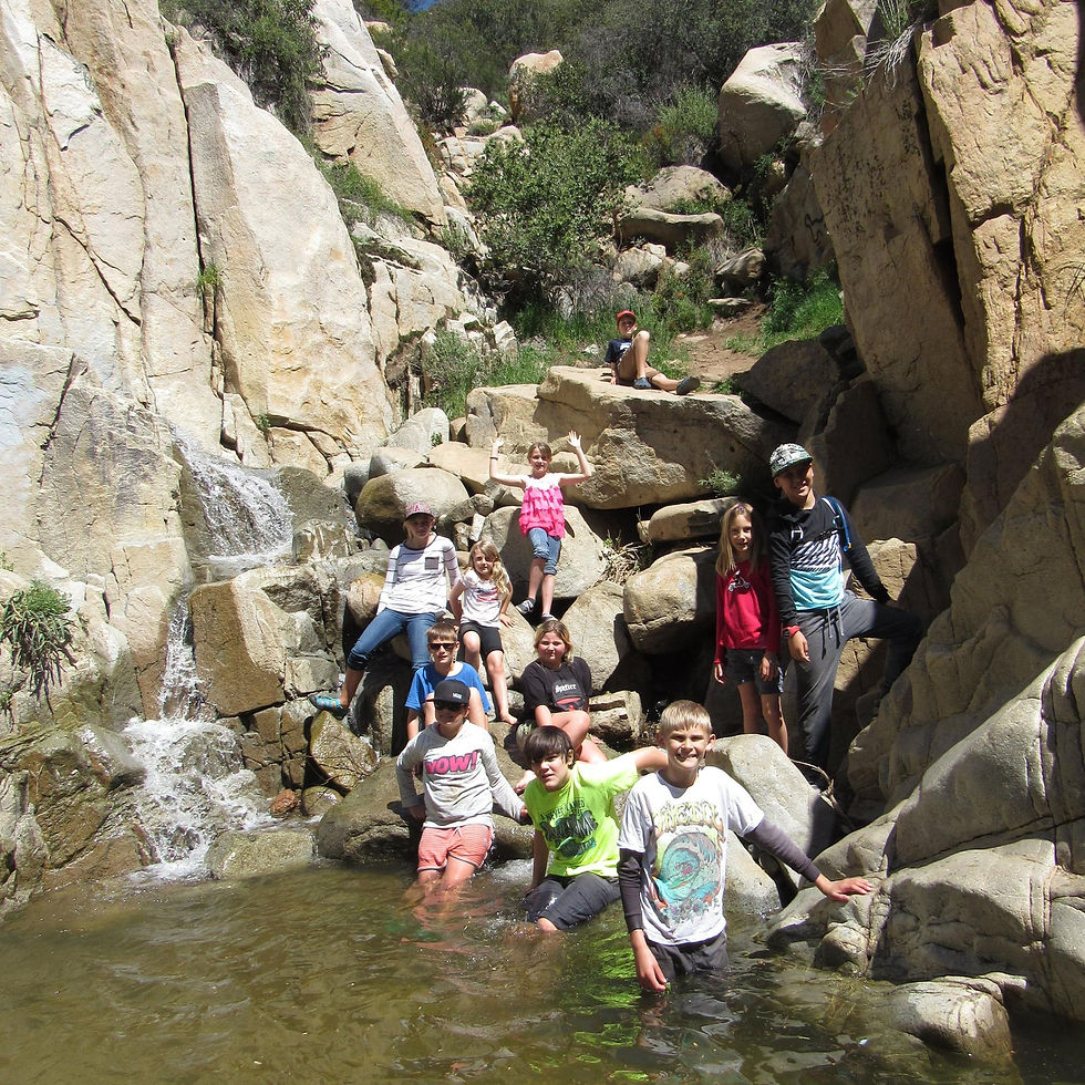 Nature Hike