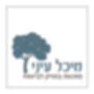 לוגו לסוכנת ביטוח