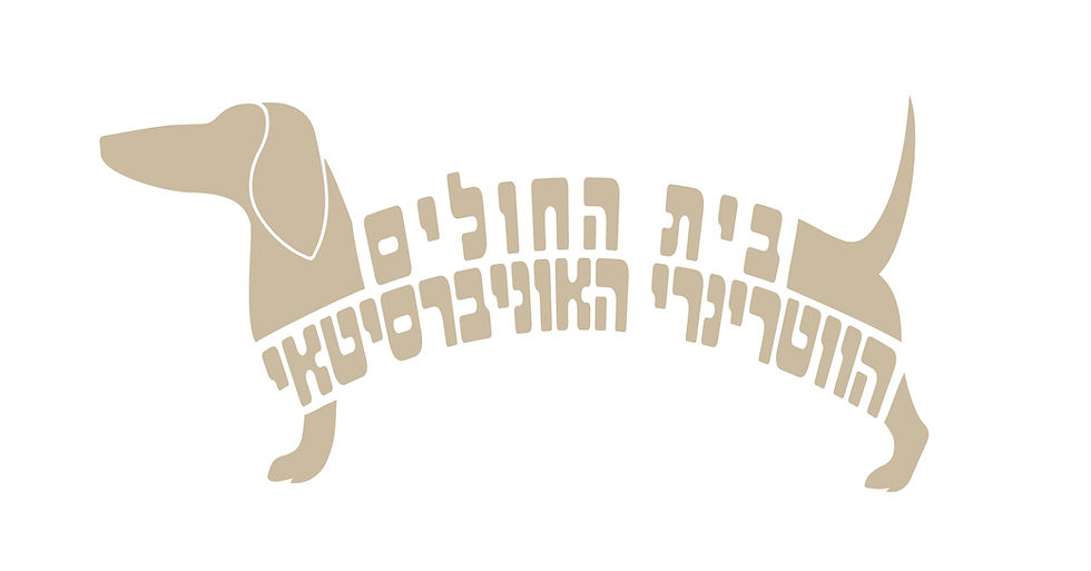 עיצוב לוגו מאותיות