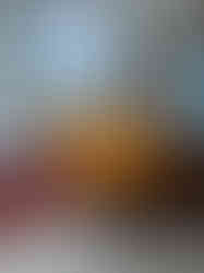 WhatsApp Image 2025-06-05 at 16.25.45 (1)