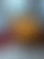 WhatsApp Image 2025-06-05 at 16.25.45