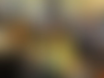 What Governor's School Is Really Like: A Student Perspective.