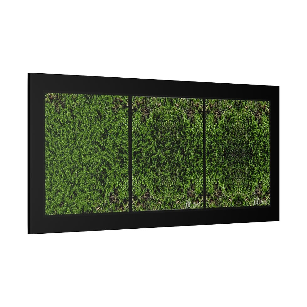 Thumbnail: psychedelic moss wall canvas