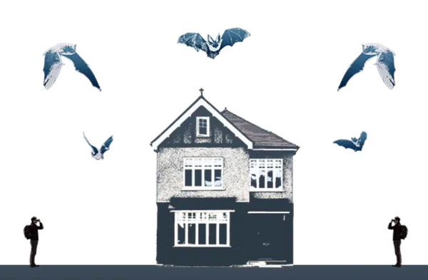 Screen Shot 2025-04-15 at 3.53.40 PM.png