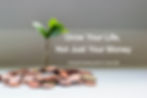 green%20plant%20on%20brown%20round%20coins_edited.jpg