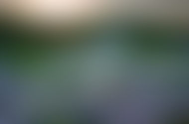 My Favorite Time of the Year