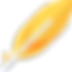 feather (1).png