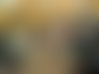 I left my job in the UK to be a safari guide in South Africa