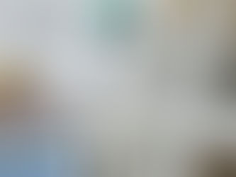 Color palette and material samples for interior renovation projects on a blueprint.